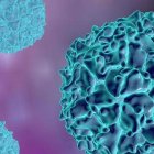 Detectan el virus de la poliomielitis 