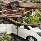 Vehículo afectado por la caída de un árbol en el Distrito Nacional (foto cortesía de un lector).