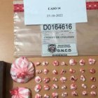 Incautado por la DNCD en Villa Mella.