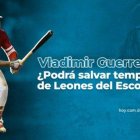 Vladimir Guerrero Jr