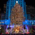 Nueva York inauguró su Navidad con el encendido del árbol de Rockefeller Center