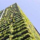 APC Sustentabilidad (1)