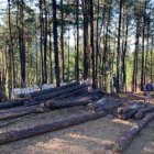 En Loma Novillero la deforestación fue tal que movió a las autoridades a montar un destacamento en esa área protegida. (Archivo).