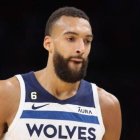 Rudy Gobert 