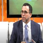 Andrés Navarro que en esta fase, el PLD no analiza aún posibles alianzas. Fuente externa