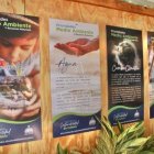 WhatsApp Image 2023-06-11 at 8.52.36 AM