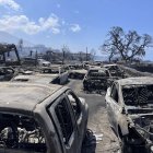 En esta fotografía cortesía de Tiffany Kidder Winn se pueden ver autos calcinados después del paso de un incendio, el miércoles 9 de agosto de 2023, en Lahaina, Hawai. (Tiffany Kidder Winn via AP)