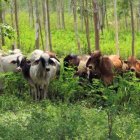 PHOTO-2023-06-11-10-14-19 (1)