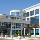 FAO pide un cambio en la narrativa- hay que “nutrir” a la gente, no llenarles el estómago