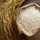 arroz-referencial
