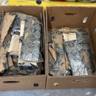 WhatsApp Image 2023-09-30 at 10.38.46 AM (1)