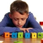 Desarrollan una nueva técnica para avanzar en el estudio del autismo , foto, fuente externa.