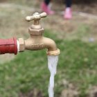 Imagen de referencia/ fuente externa 