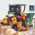 PRINCIPAL-1-1-615×440-1