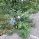 hablando sobre los serbicios de agua y basura