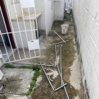 WhatsApp Image 2024-01-21 at 11.40.34 AM