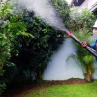 5_El País_03_1A,p01