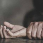 Imagen de referencia. 