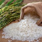 El arroz es de consumo masivo en el país.