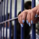 Imagen de referencia.