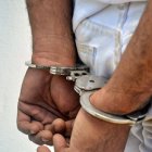 Imagen de referencia.