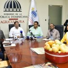 Expo Mango 2024