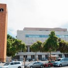 Caso Mirador Sur: Despiden a dos empleados que usaron equipos del ADN para podar 17 árboles  