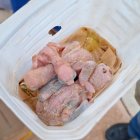 Dictan coerción contra hombre y mujer por traficar con cotorras en Pedernales 