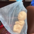 WhatsApp Image 2024-08-27 at 11.43.45 AM