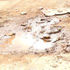 WhatsApp Image 2024-09-25 at 9.50.02 AM