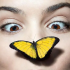De mariposas a humanos, la mayoría de los animales compartimos una característica curiosa. Guetty Images