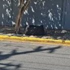 La calle tuvo que ser evacuada
