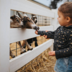 Foto de referencia/ Guetty Images