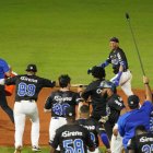 Jugadores del Licey celebran la victoria de anoche frente al Escogido.. En la foto de recuadro, Ronnie Belliard lanza la primera bola, previo al juego.  Foto-Manolito Jiménez. 
