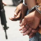 Imagen de referencia.