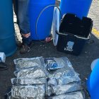 WhatsApp Image 2025-01-28 at 5.38.42 PM (1)