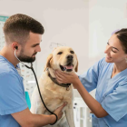 Imagen de referencia 