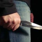 Imagen de referencia. 