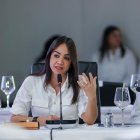 Ministra Faride Raful.