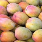 Tipos de mango dominicanos: Cómo identificarlos y cuáles son sus beneficios 