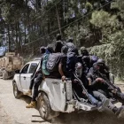 OBJ_20250625T182248S0016I_1_1_1_15_3_1