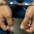 Imagen de referencia.