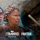 Diseño: Félix Rojas 