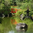 El Jardín Botánico Nacional está en centro de disputa.
