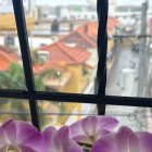 WhatsApp Image 2025-07-19 at 1.27.22 PM