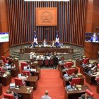 El proyecto cursa en el Senado.