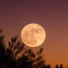 superluna-castor-kGAB-U240126251254NPI-1200×840@Hoy