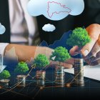 El peso de la inversión en bonos del Estado es muy significativa.