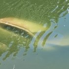 WhatsApp Image 2025-08-30 at 2.17.17 PM