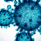 Casos de virus reportados esta semana en la República Dominicana